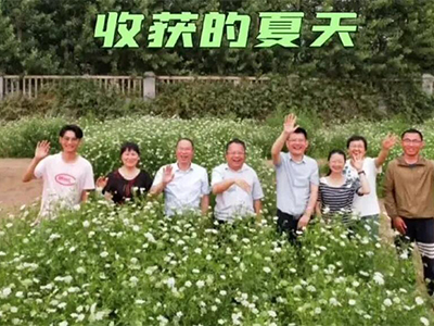 大讲堂报告测试一