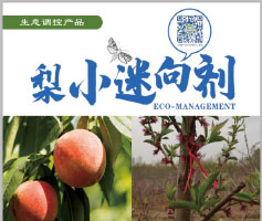 梨小迷向剂