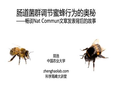 郑浩