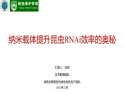 闫硕
