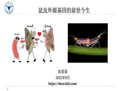 沈星星