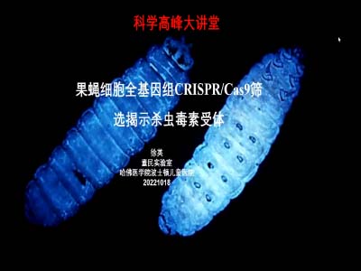 徐英