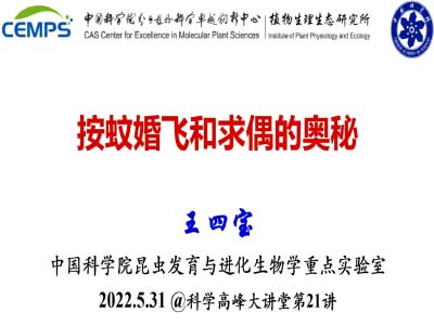 王四宝