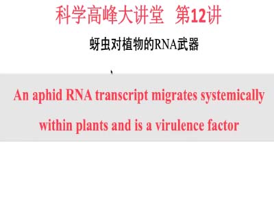 陈亚洲