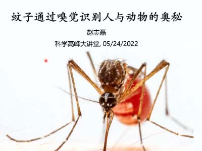 赵志磊