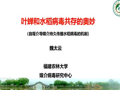 魏太云