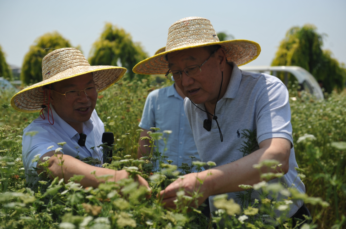 “功能植物生态控害模式”观摩研讨会成功举办